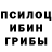 Галлюциногенные грибы мицелий Anatoliy Brovko