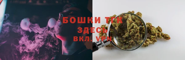 соль ск Алзамай