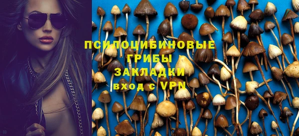 меф Алексин