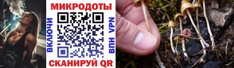 Псилоцибиновые грибы ЛСД omg как зайти Ардон нарко площадка как зайти магазин продажи