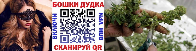 мега как зайти  магазин  наркотиков  Ардон  МАРИХУАНА сатива 